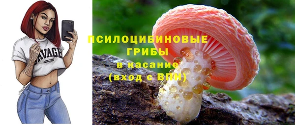 эйфоретик Баксан